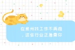 【泉州人才速配】找工作不再难，这些行业正急需你！